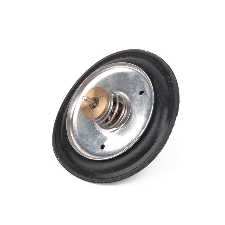 İmmergas Kombi Yaylı Diyafram Conta