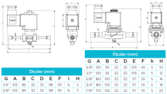 5/8'' Kaynaklı 15 Mm Orifisli Pilotlu Tip Solenoid Vana 220v