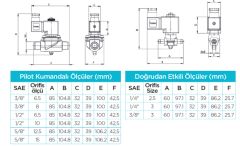 3/8'' Rakorlu 6.5 Mm Orifisli Pilotlu Tip Solenoid Vana 220v