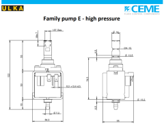 48 watt Halı Yıkama ve Kazanlı Ütü Pompa Motoru